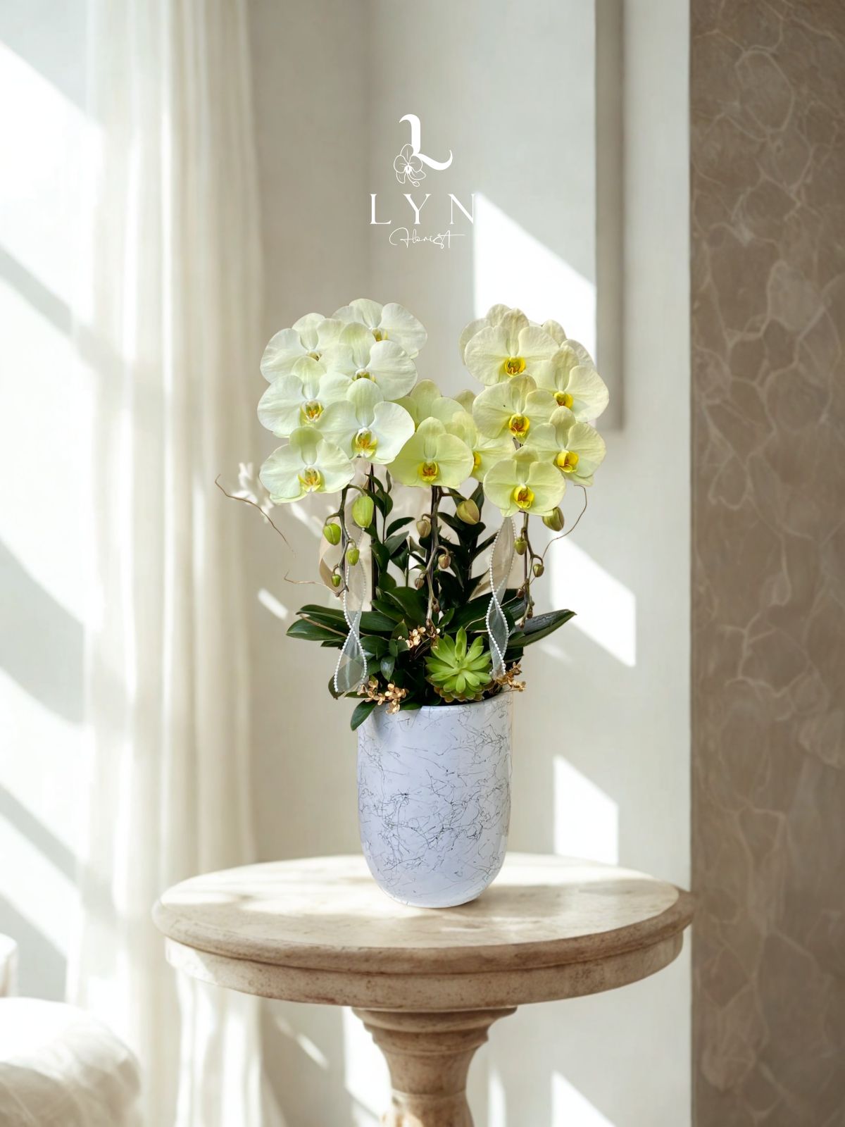 Chậu Hoa Lan Hồ Điệp Xanh Táo